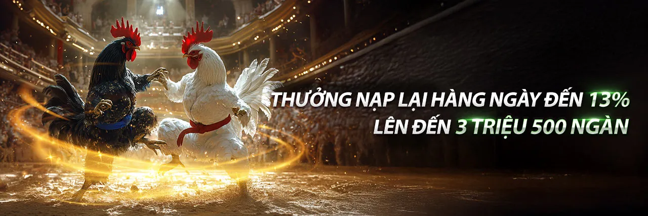 Hình ảnh tổng quan về các ưu đãi hấp dẫn tại vz88 và vz99